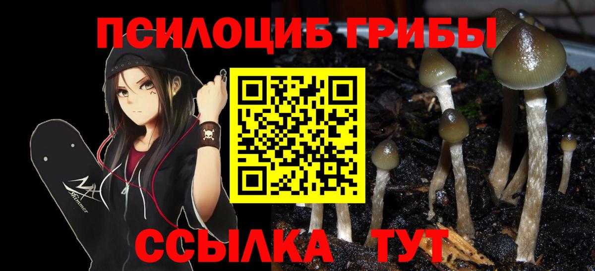 Псилоцибиновые грибы MAGIC MUSHROOMS  дарнет шоп  Усть-Лабинск  Вход с VPN  Псилоцибиновые грибы мухоморы 